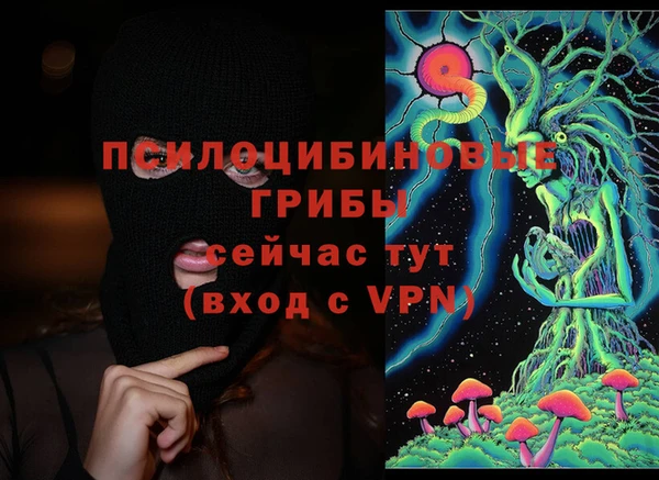 скорость Кукмор