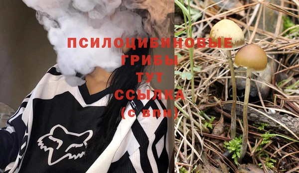 скорость Кукмор